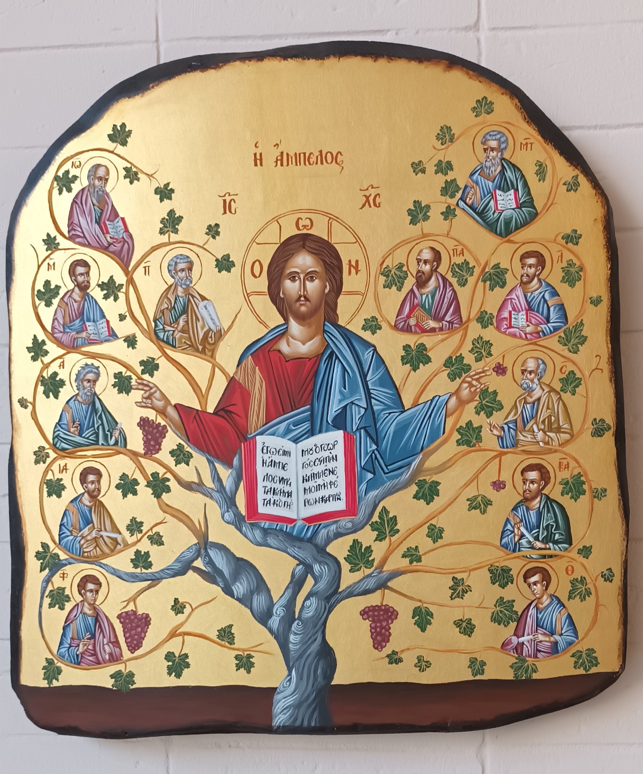 Η Αμπελος | The Grape Vine - 5011